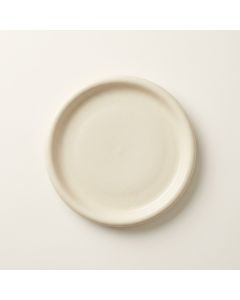 Terra Dinner Plate